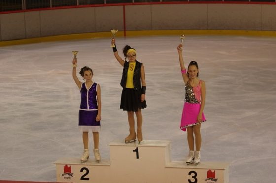 Championnat de France de patinage artistique