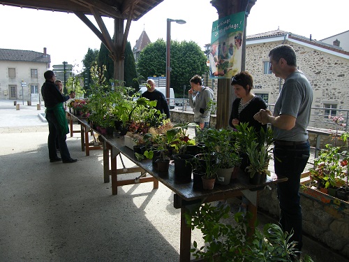 Troc de plantes