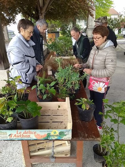 Troc des plantes
