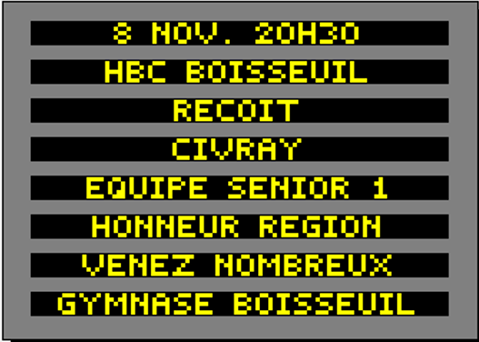 Match de Hand ball à Boisseuil