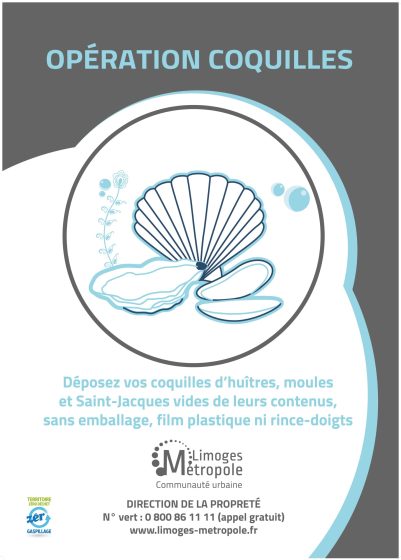 Collecte des coquilles