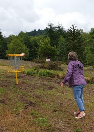 Disc golf bugeat