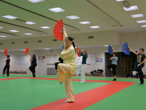 Tai Ji Quan et Qi Gong 