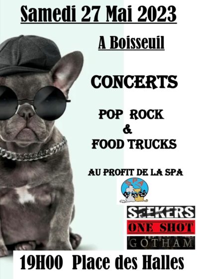 Concert au profit de la SPA