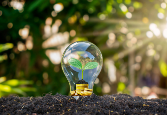 ZONES D’ACCELERATION DES ENERGIES RENOUVELABLES